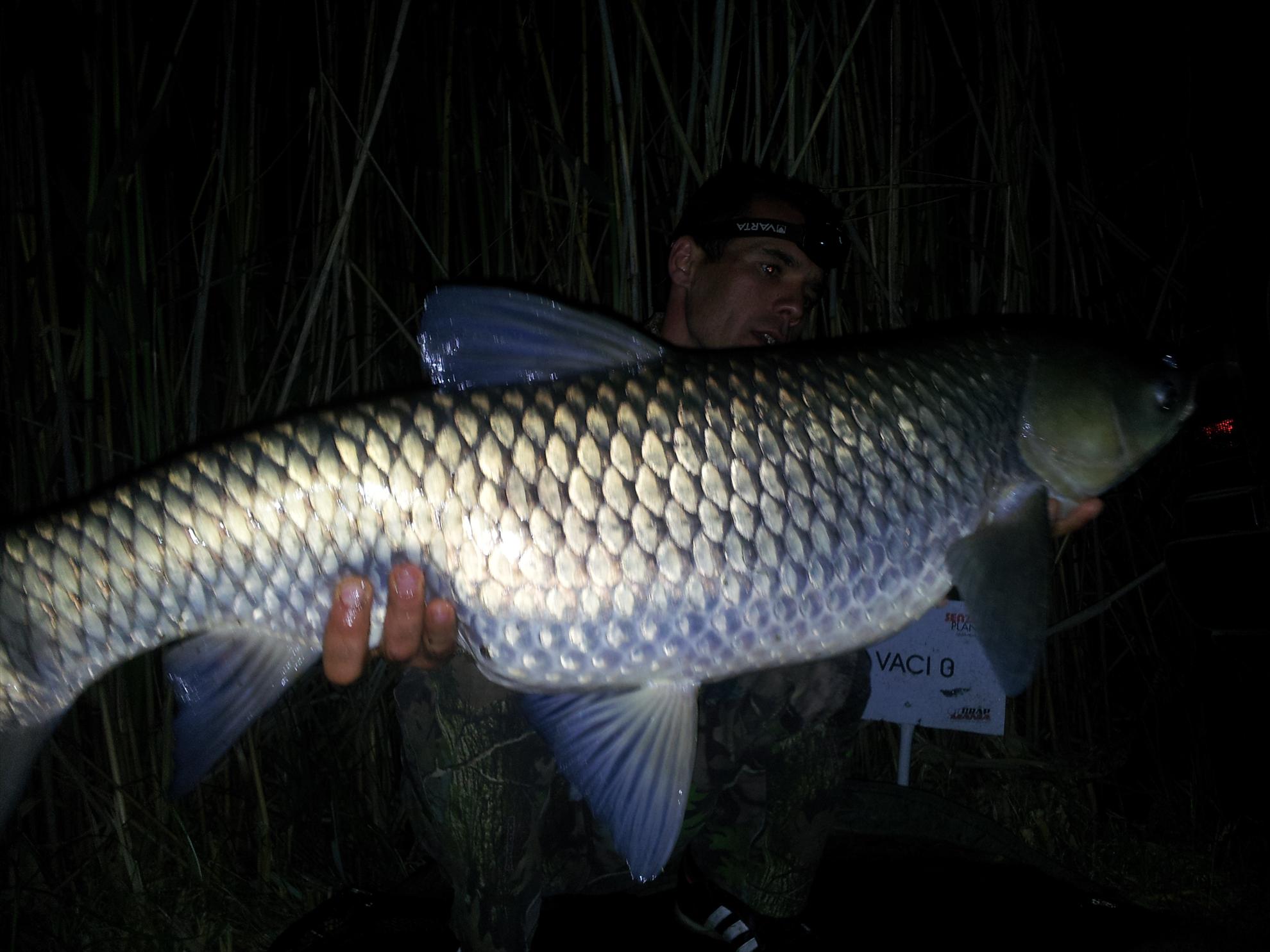 tancabesti 11-12'05''2013 - 20130512012953.jpg